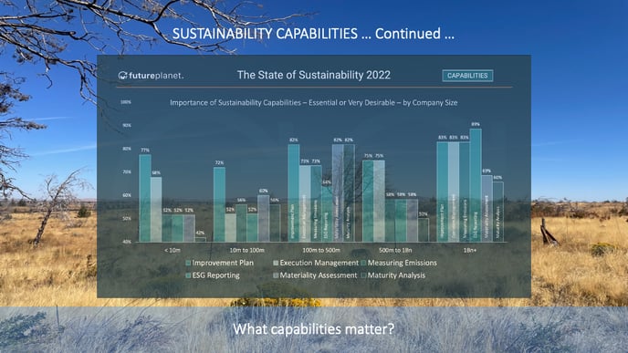 What Sustainability Capabilities Matter (Part 2) – About DATA